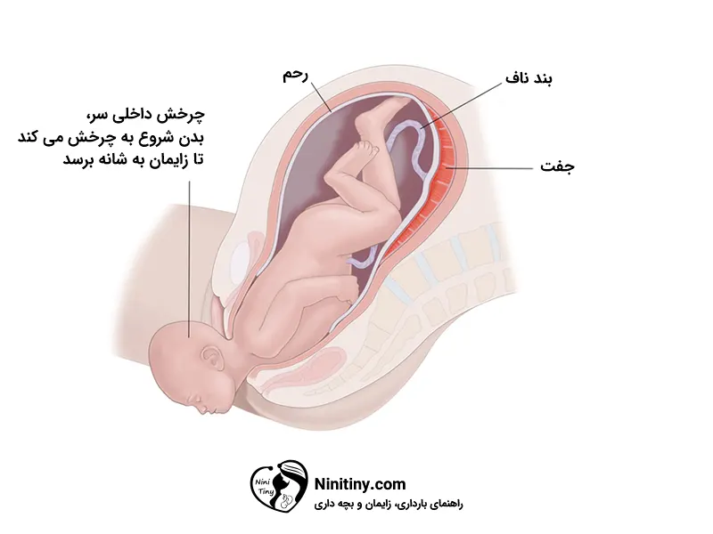 مراحل زایمان طبیعی 4 روند زایمان طبیعی