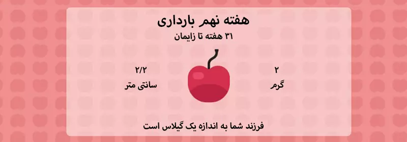 هفته نهم بارداری