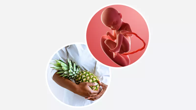 اندازه جنین در هفته سی و سوم بارداری اندازه جنین در هفته سی و سوم بارداری