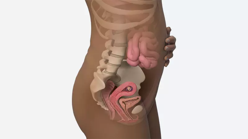 اندازه شکم در هفته نهم بارداری اندازه شکم در هفته نهم بارداری