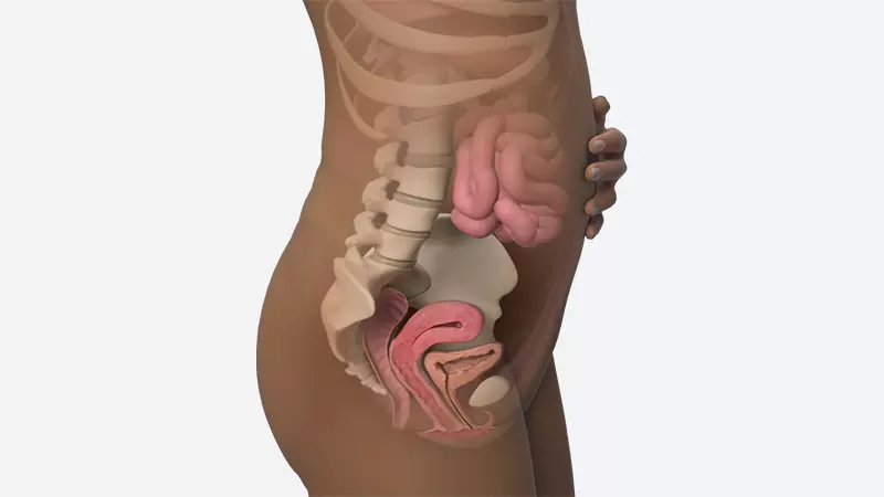 اندازه شکم در هفته هفتم بارداری اندازه شکم در هفته هفتم بارداری