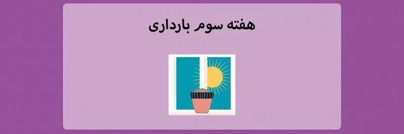 هفته سوم بارداری