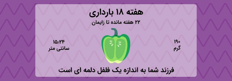 هفته 18 بارداری