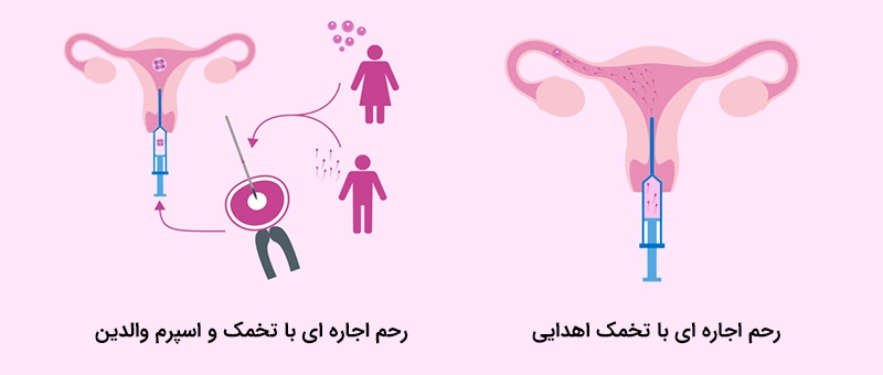 https://ninitiny.com/wp-content/uploads/2024/08/انواع-رحم-اجاره-ای.webp