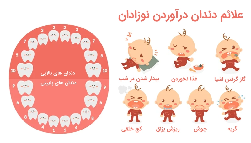 علائم دندان درآوردن نوزادان
