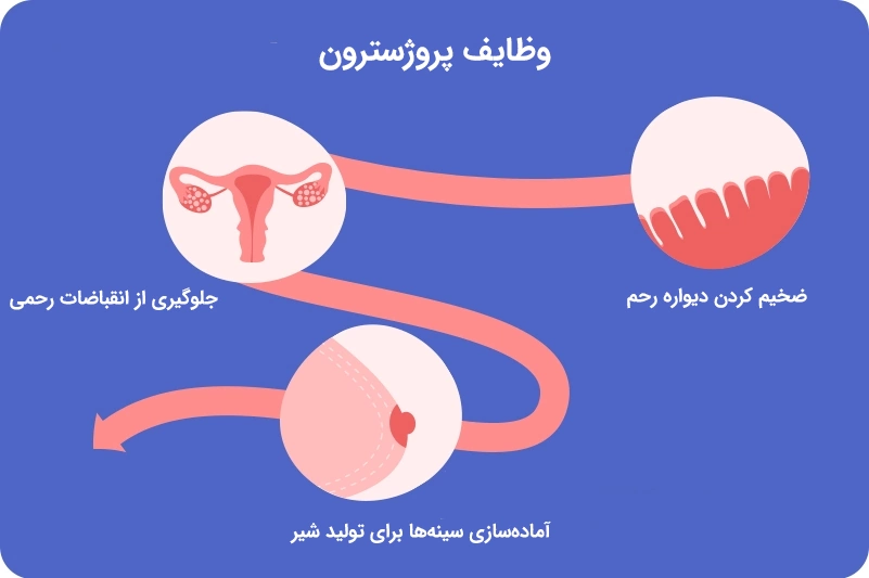 Progesterones Functions وظایف پروژسترون و IVF