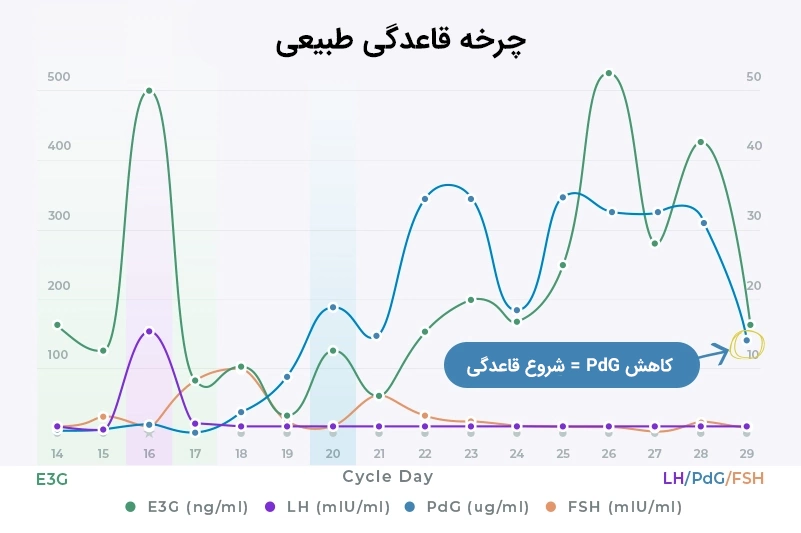 progesterone levels to dip triggering menstruation چرخه قاعدگی طبیعی و پروژسترون