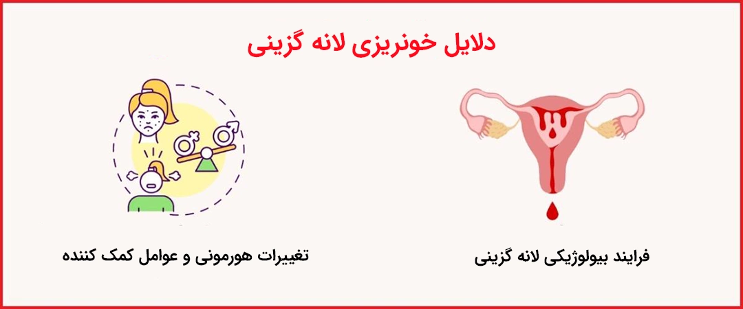 دلایل خونریزی لانه گزینی