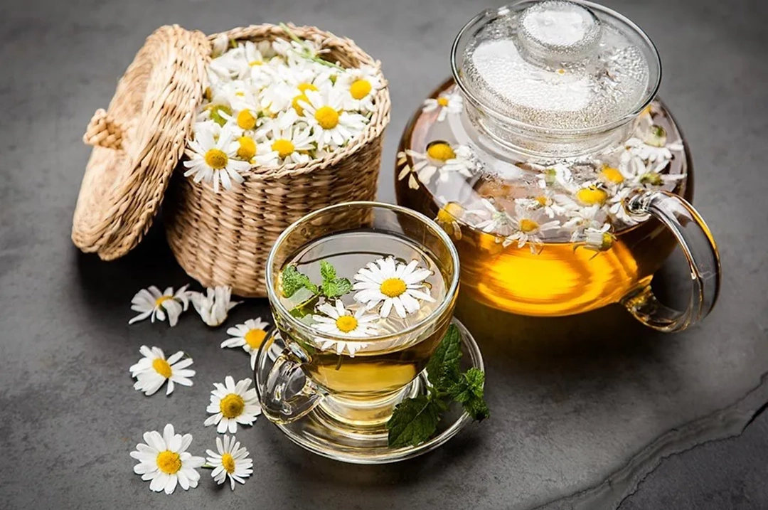 چای بابونه در بارداری