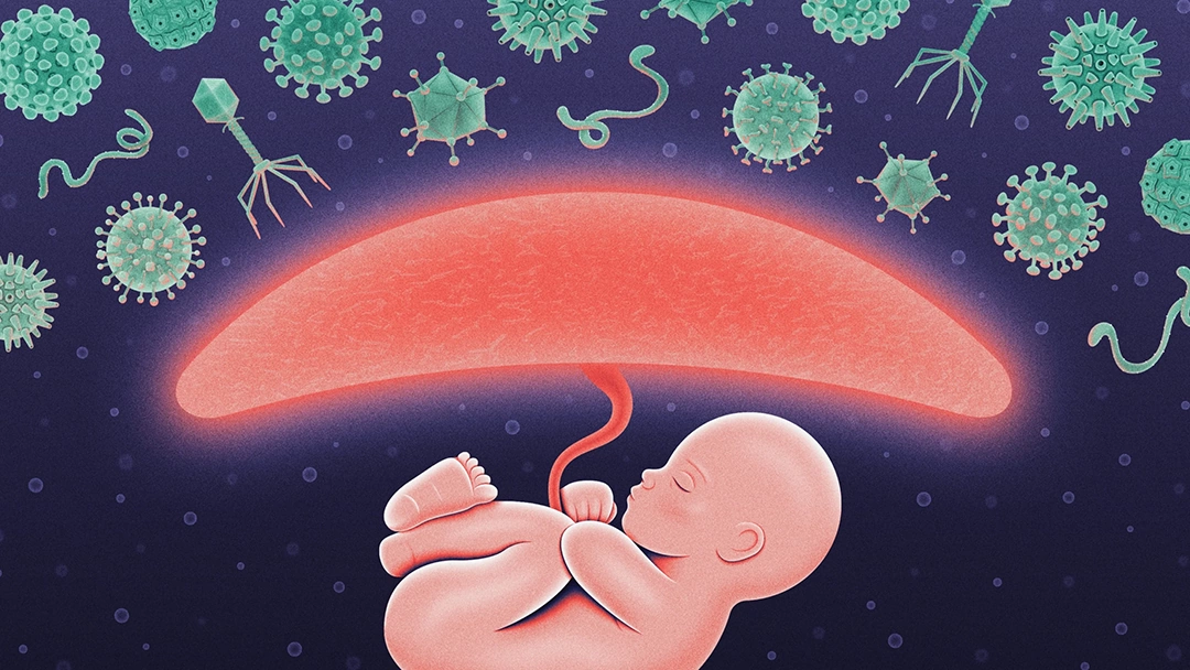 infection during pregnancy 3 عفونت های دوران بارداری