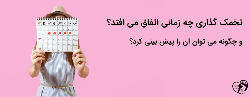 When Do You Ovulate تعیین زمان تخمک گذاری