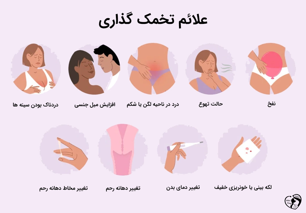 symptoms of ovulation علائم تخمک گذاری