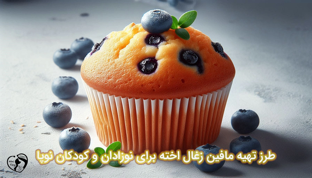مافین زغال اخته برای نوزادان و کودکان نوپا طرز تهیه مافین زغال اخته برای نوزادان و کودکان نوپا
