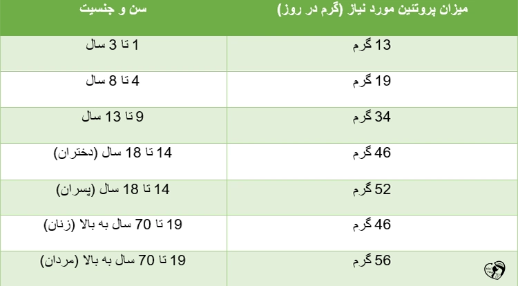 محاسبه پروتئین مورد نیاز