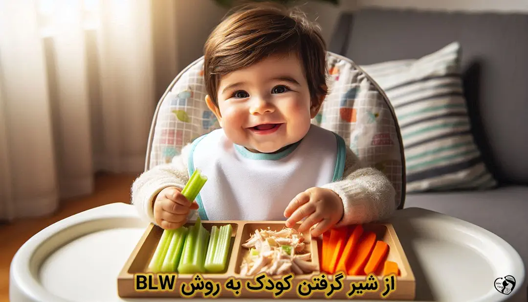 از شیر گرفتن کودک به روش BLW از شیر گرفتن کودک به روش BLW
