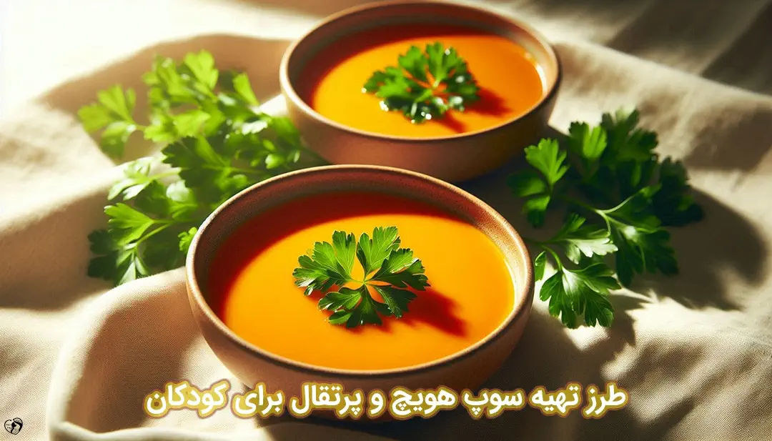 سوپ هویچ و پرتقال برای کودکان طرز تهیه سوپ هویچ و پرتقال برای کودکان