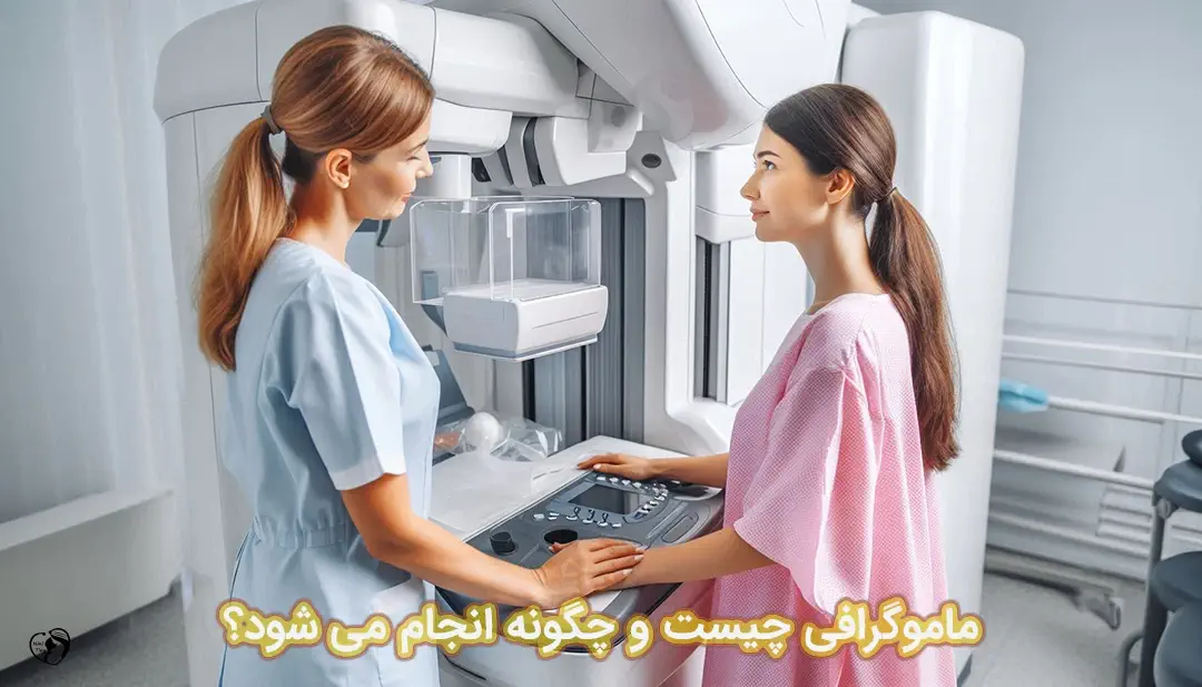 ماموگرافی ماموگرافی