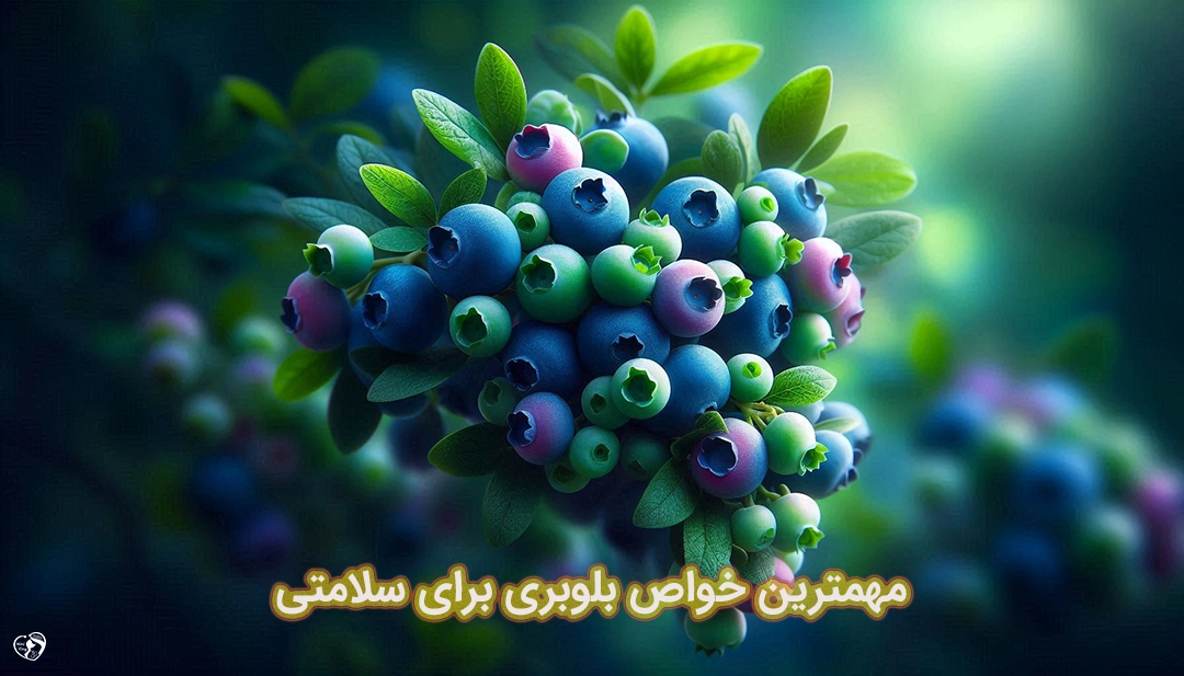 10 مورد از خواص بلوبری 10 مورد از خواص بلوبری