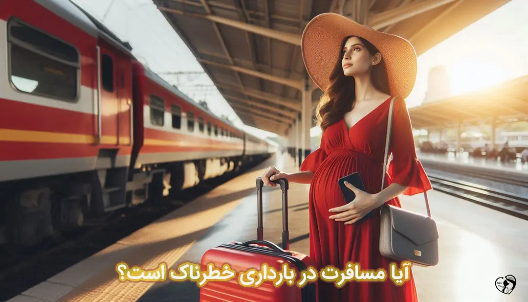 مسافرت در بارداری مسافرت در بارداری