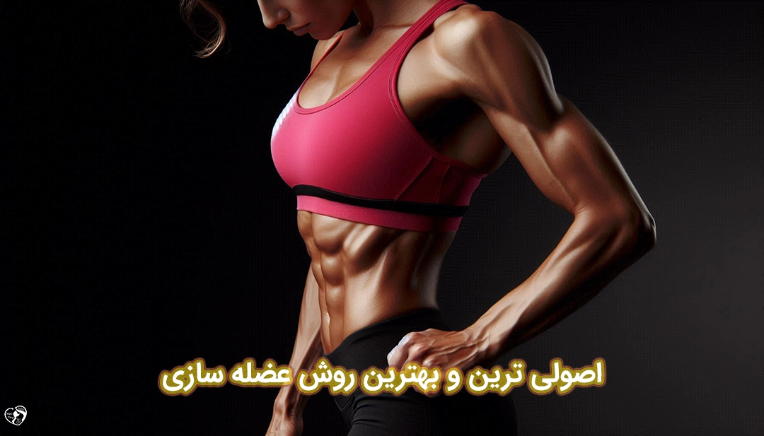 عضله سازی عضله سازی