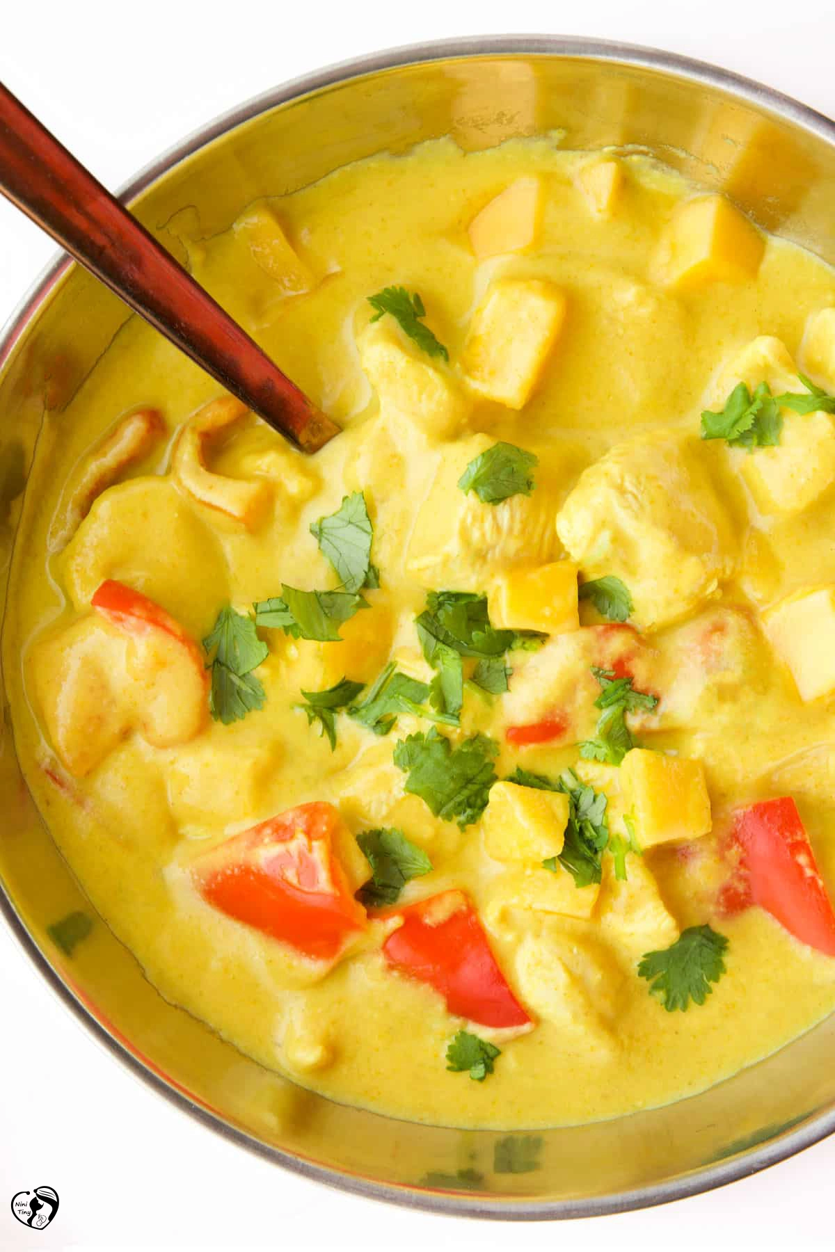 خورشت مرغ با انبه برای کودکان
