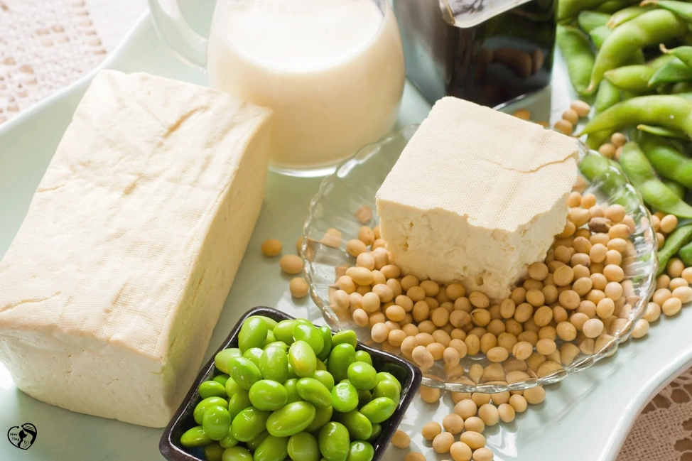 رژیم غذایی برای سلامت استخوان