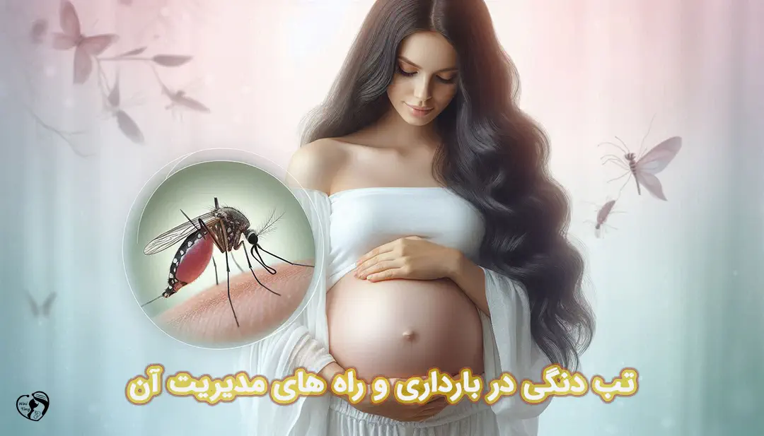 تب دنگی در بارداری تب دنگی در بارداری