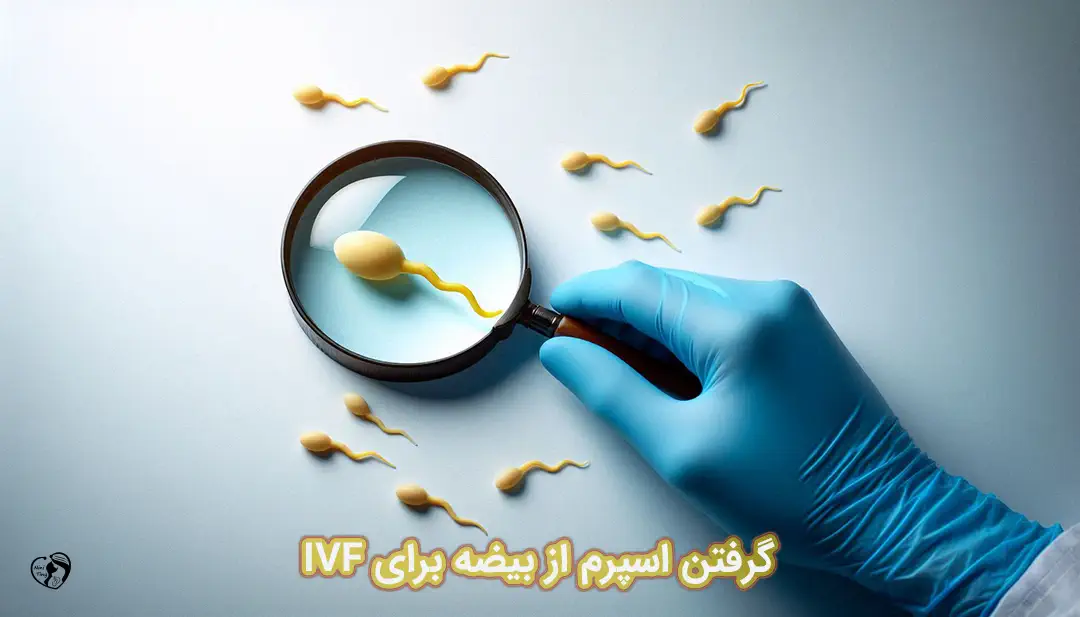 گرفتن اسپرم از بیضه (TESE)