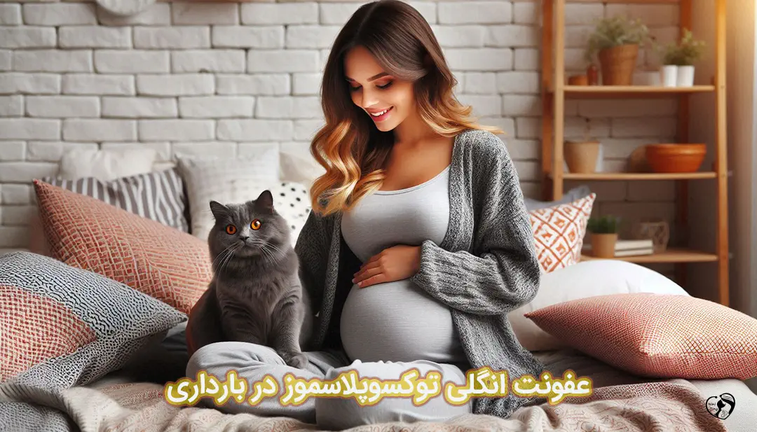 توکسوپلاسموز در بارداری توکسوپلاسموز در بارداری
