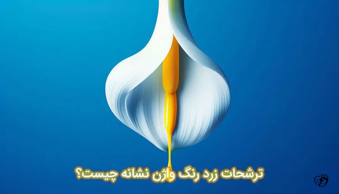 ترشحات زرد رنگ واژن ترشحات زرد رنگ واژن