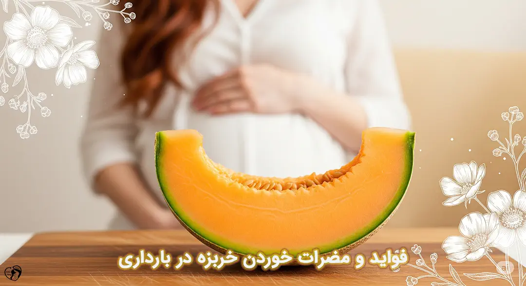 خربزه در بارداری