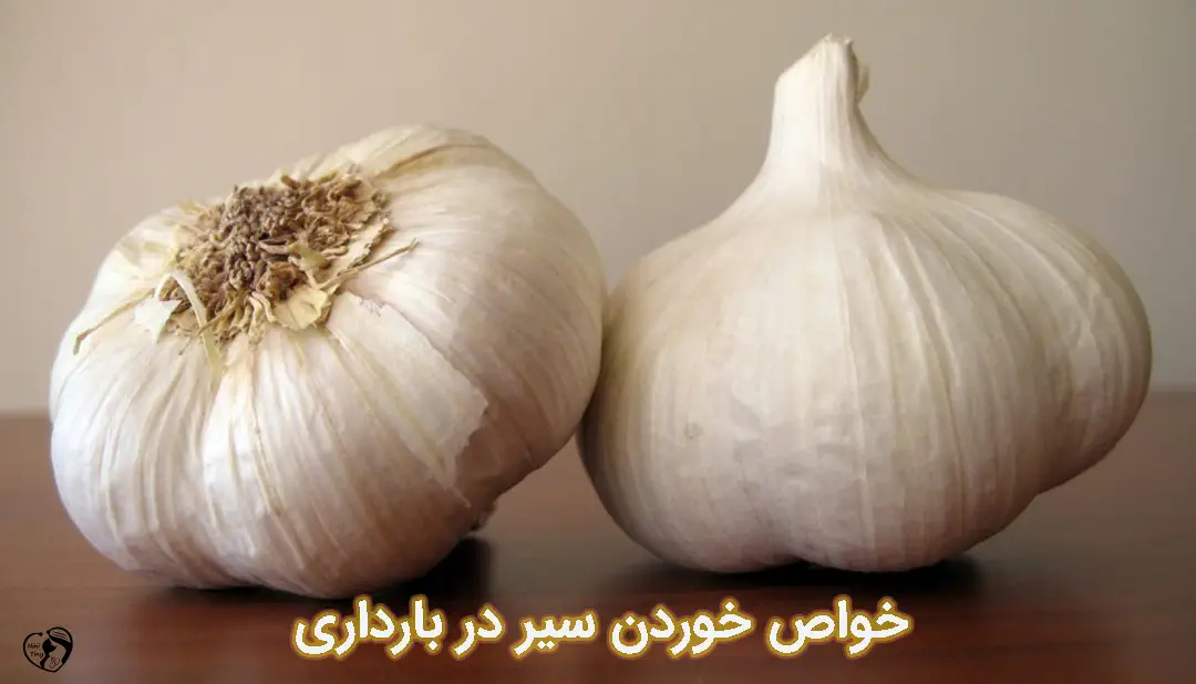 سیر در بارداری سیر در بارداری