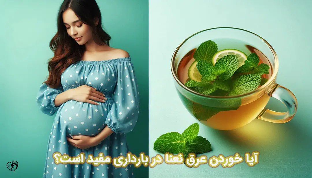 عرق نعنا در بارداری عرق نعنا در بارداری