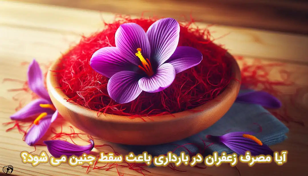 زعفران در بارداری زعفران در بارداری