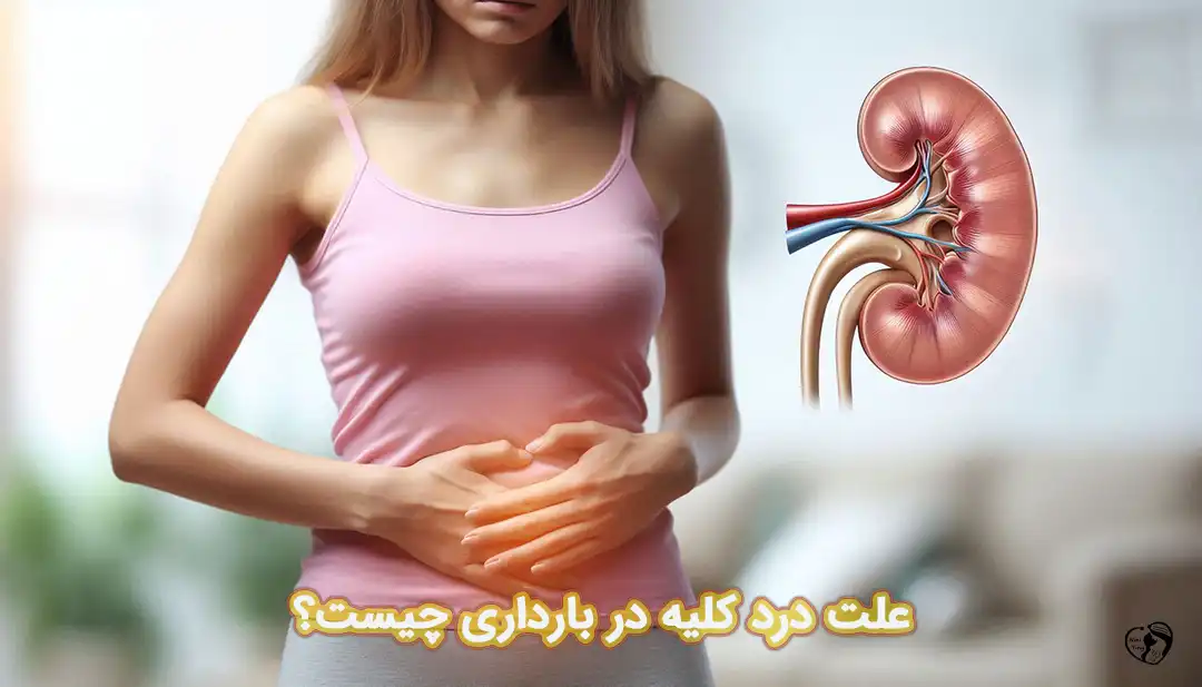 کلیه درد در بارداری کلیه درد در بارداری