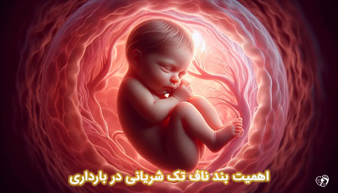 بند ناف تک شریانی در بارداری بند ناف تک شریانی در بارداری