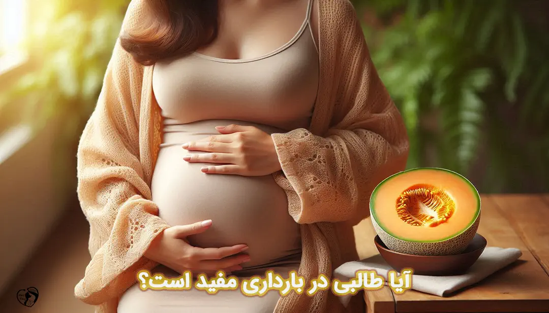 طالبی در بارداری