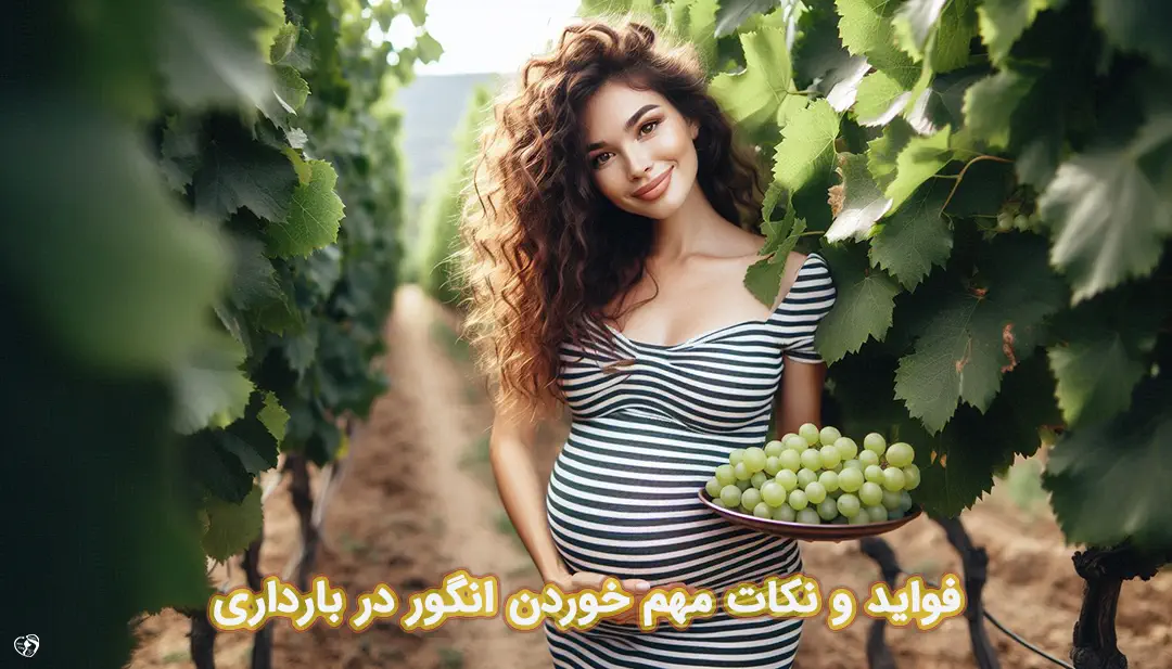 انگور در بارداری