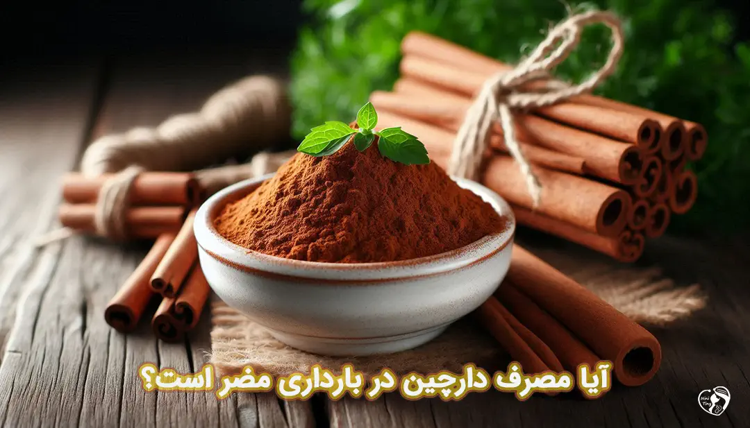 دارچین در بارداری