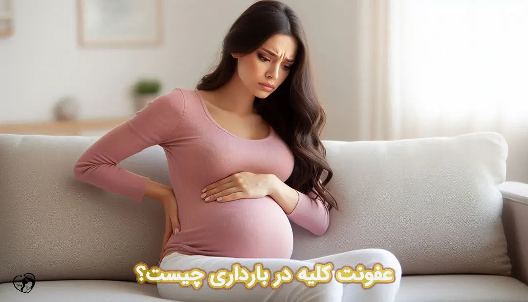 عفونت کلیه در بارداری