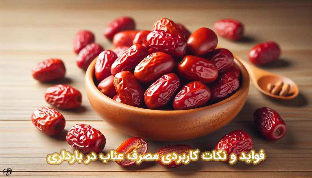 عناب در بارداری