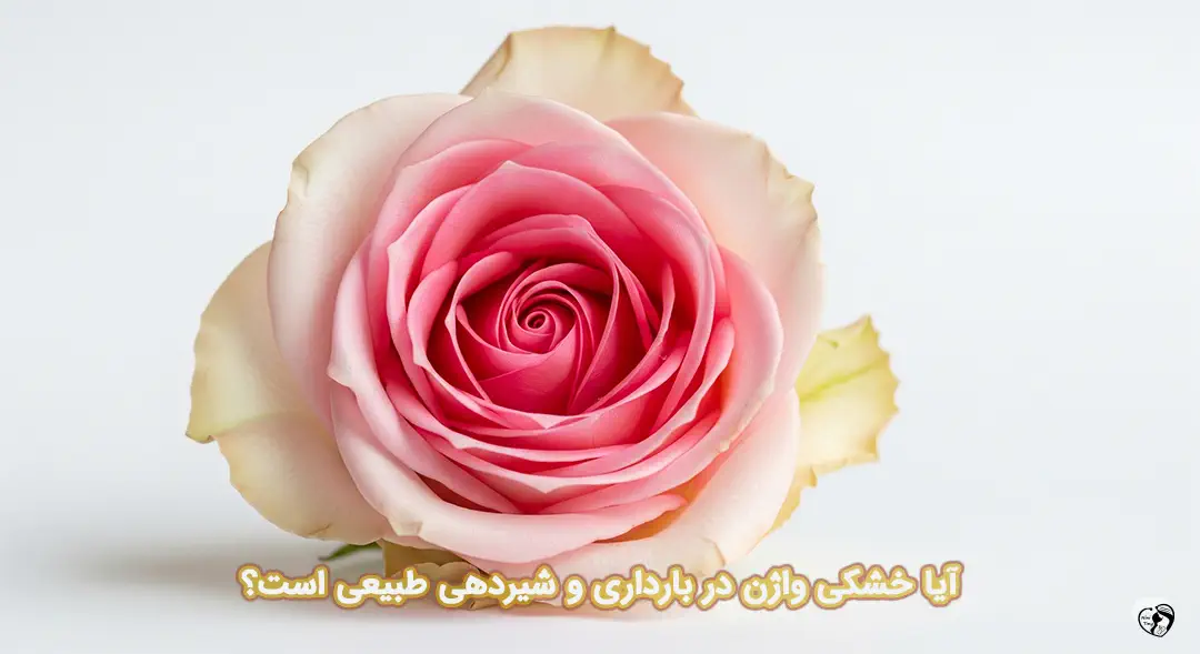 خشکی واژن در بارداری و شیردهی خشکی واژن در بارداری و شیردهی
