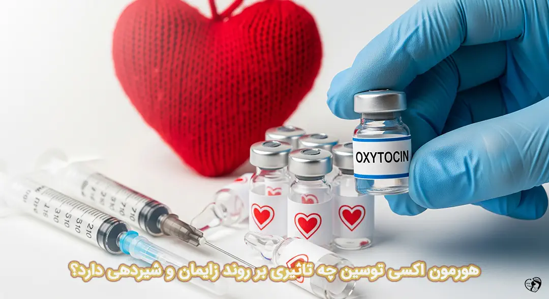 هورمون اکسی توسین هورمون اکسی توسین