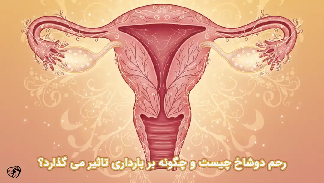 رحم دوشاخ رحم دو شاخ