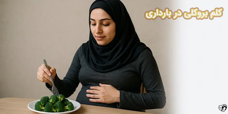 Broccoli a Healthy Choice During Pregnancy کلم بروکلی در بارداری