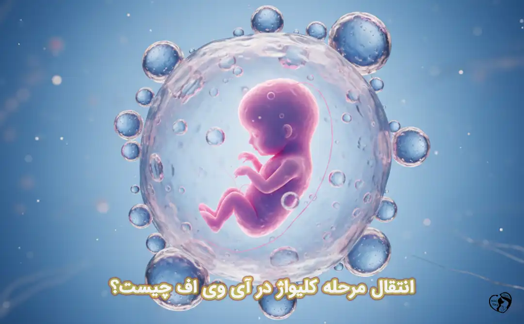 انتقال مرحله کلیواژ انتقال مرحله کلیواژ