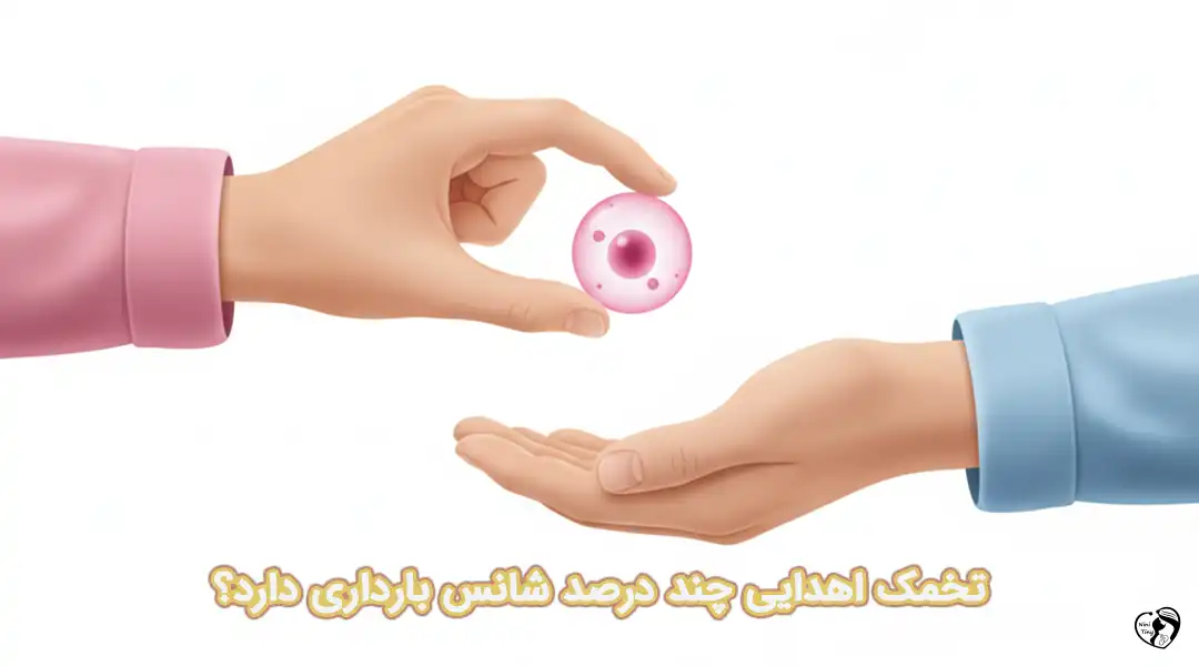 تخمک اهدایی تخمک اهدایی