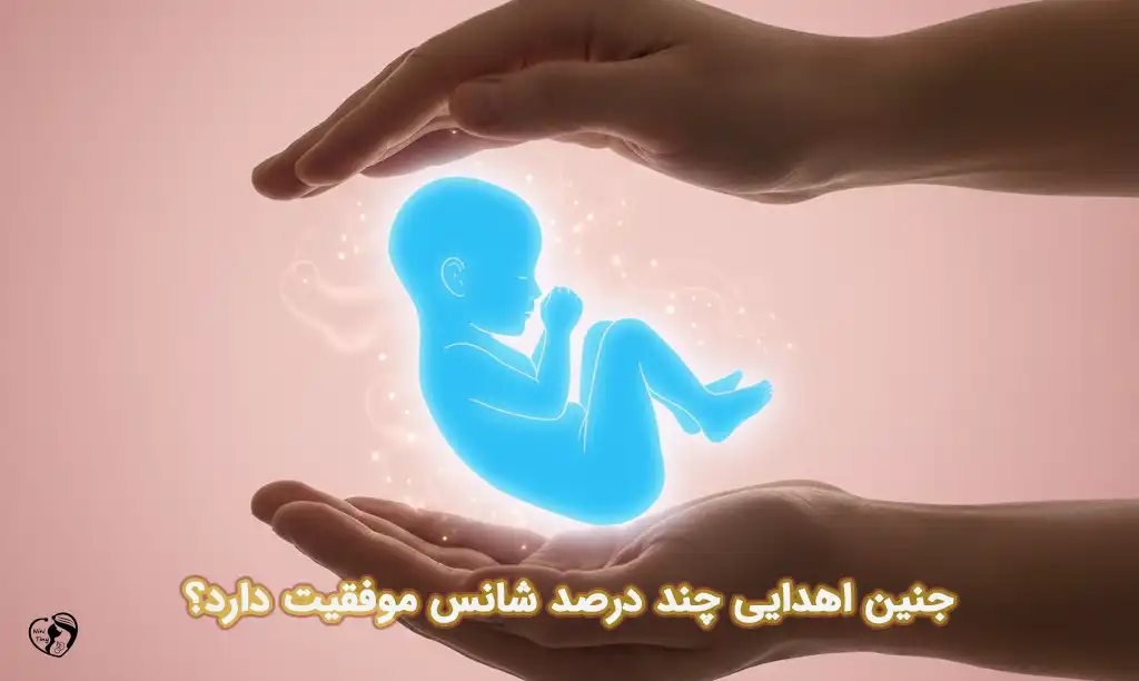 جنین اهدایی جنین اهدایی