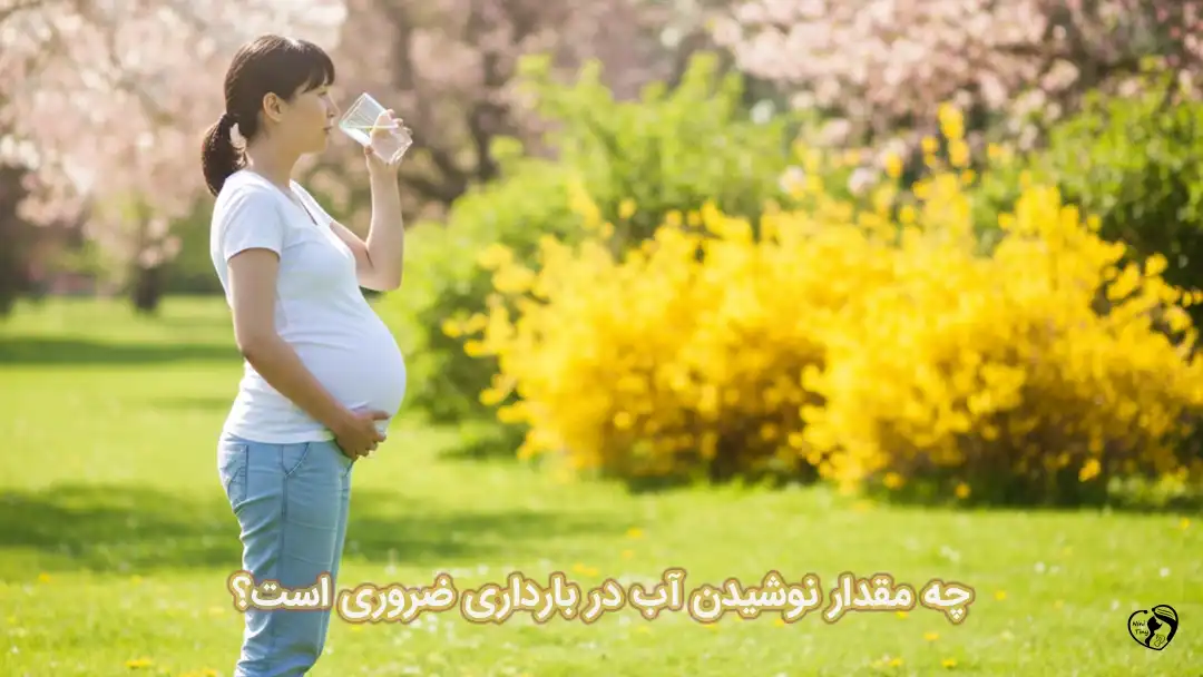 نوشیدن آب در بارداری نوشیدن آب در بارداری