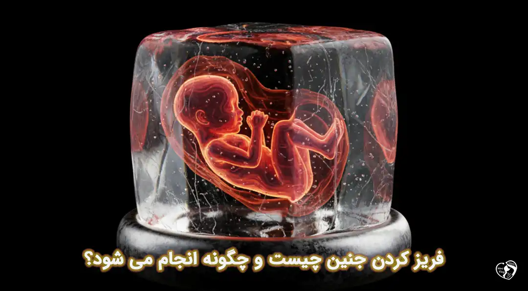 فریز جنین فریز جنین